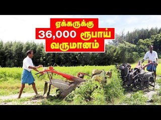 'ஏக்கருக்கு 36,000 ரூபாய்'... நல்ல வருமானம் தரும் கிச்சிலி சம்பா!
