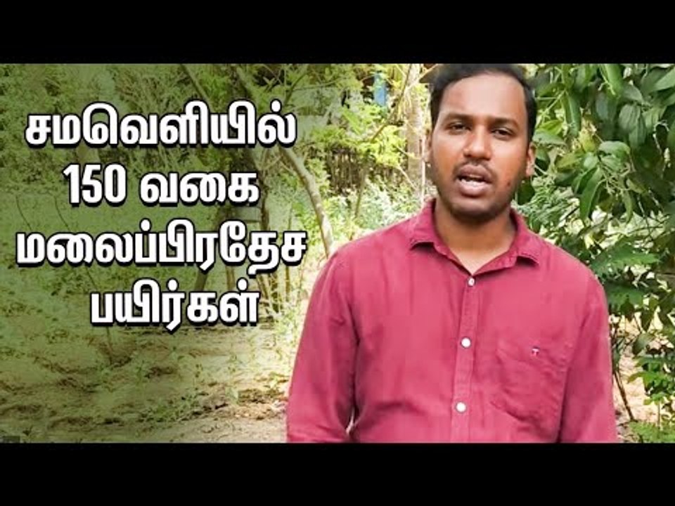 லிச்சி, ரம்புட்டான், மங்குஸ்தான்...டெல்டாவில் விளையும் மலைப்பிரதேசப் பயிர்கள்!