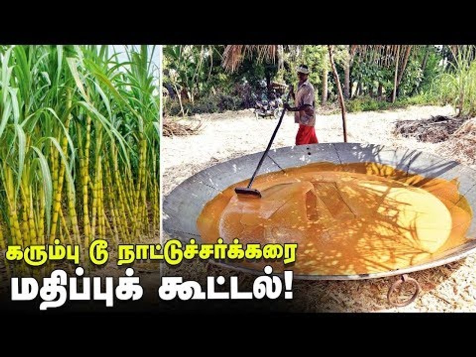 கரும்பு டூ நாட்டுச்சர்க்கரை, கவுந்தப்பாடி சர்க்கரை மதிப்புக் கூட்டல் முறை!