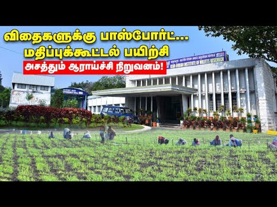 பாரம்பர்ய விதைகள் சேமிப்பு, மதிப்புக்கூட்டல்... விவசாயிகளுக்கு வழிகாட்டும் ஆராய்ச்சிக் கழகம்!