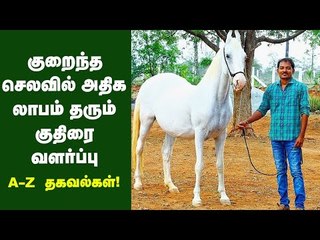 மாதம் 85 ஆயிரம் சம்பளத்தை மறுத்து குதிரை வளர்க்கும் பட்டதாரி இளைஞர் | Horse Farm