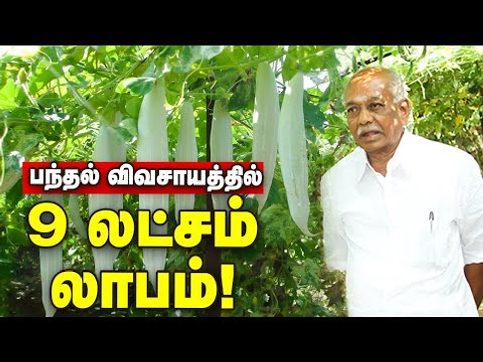பீர்க்கன், புடலை, பாகல்!   3 ஏக்கரில் 9 லட்சம் லாபம்!