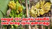 கொடிய நோய்க்கு வெறும் 150 ரூபாய் செலவில் மருந்து... அசத்தும் தேனி மருத்துவர்! #Banana