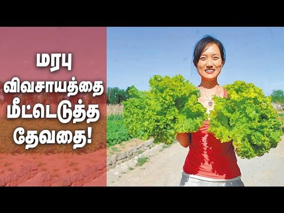 மரபு விவசாயத்தை மீட்டெடுத்த சீனதேவதை!