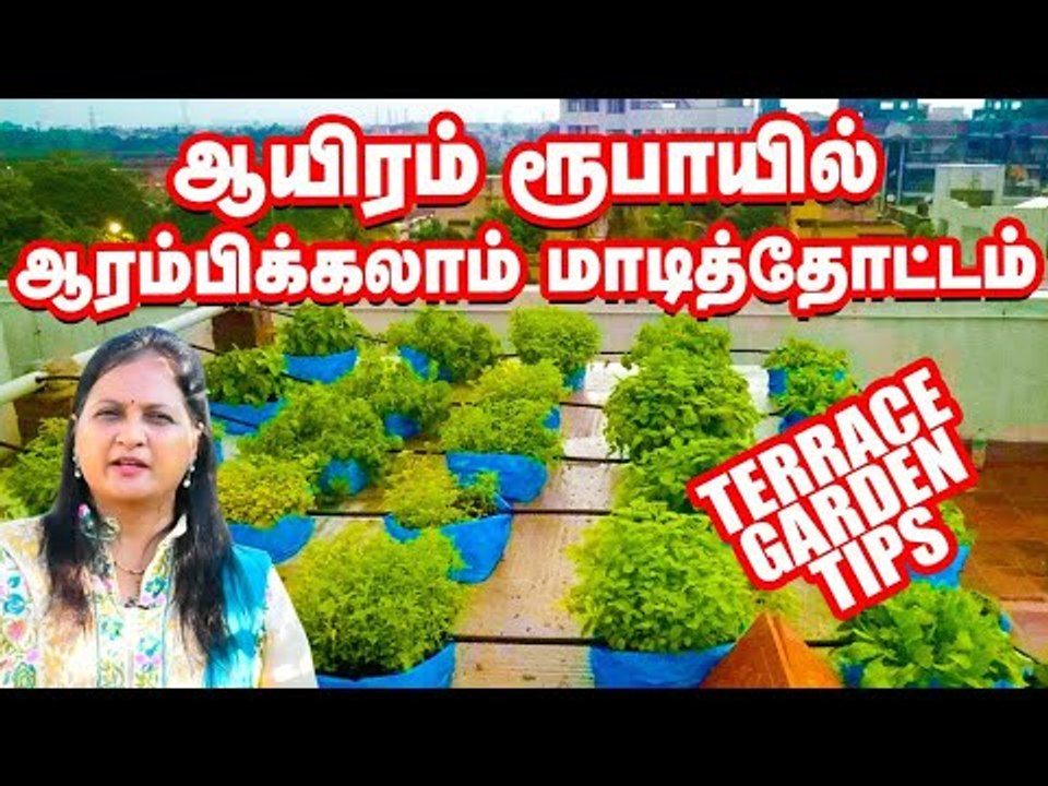 ஆயிரம் ரூபாயில் அற்புதமான மாடித்தோட்டம்! | Terrace Garden Tips