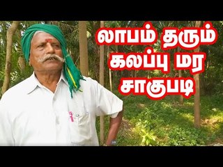 கலக்கல் வருமானம் கொடுக்கும் கலப்பு மரச் சாகுபடி!