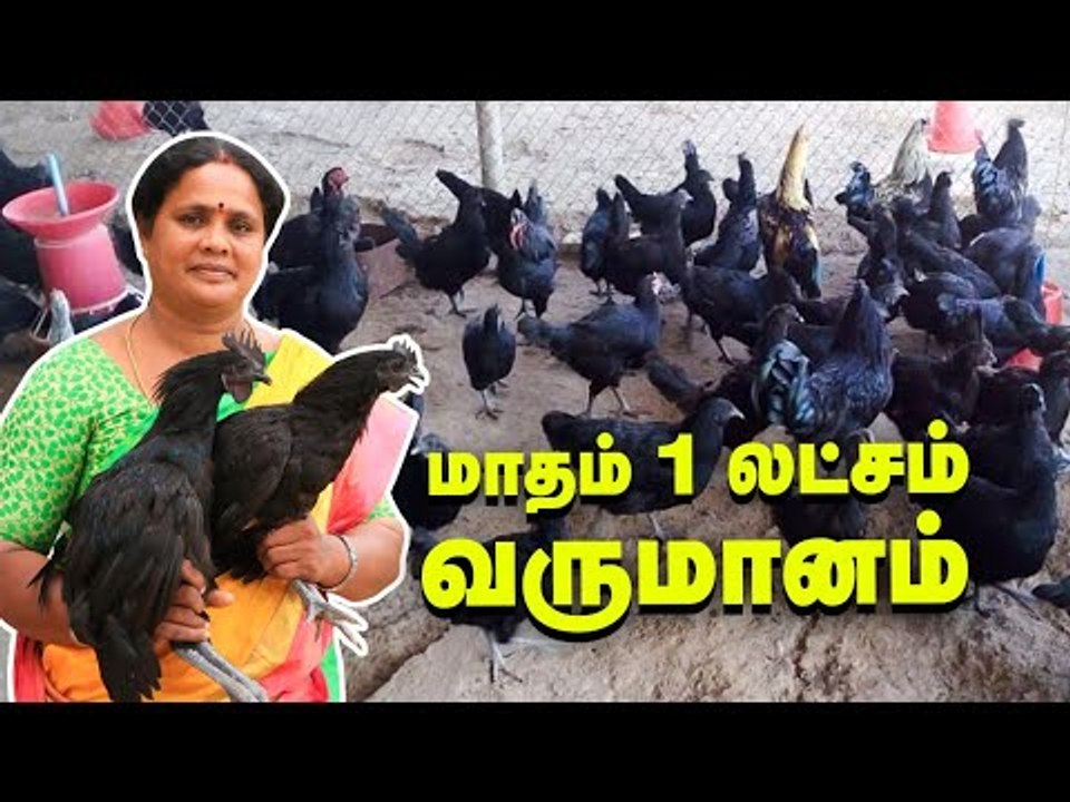 மாதம் 1,00,000 ரூபாய் - பட்டையைக் கிளப்பும் பால், முட்டை, கோழி!