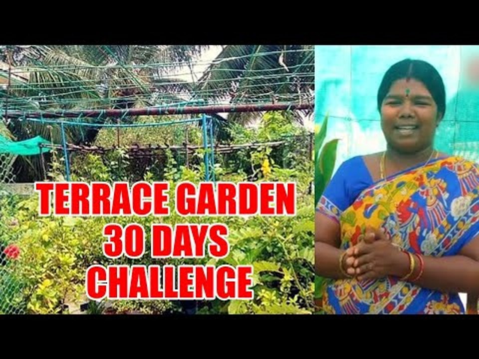மாணவர்களுக்கு வீட்டுத்தோட்டம்... 30 நாள் சேலஞ்... அசத்தும் ஆசிரியை!