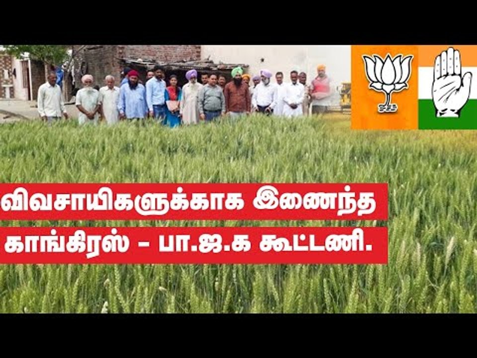 இணைந்த கட்சிகள்... கோதுமை அறுவடையில் சாதனை படைத்த பஞ்சாப்!