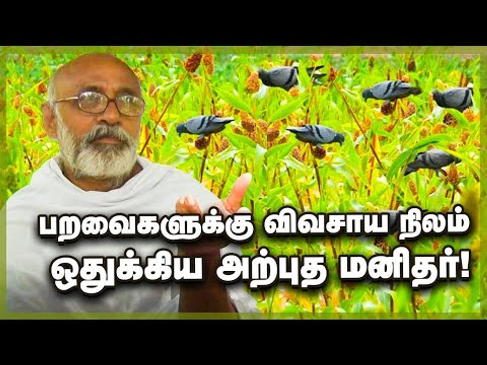 அரை ஏக்கரில் பறவைகளுக்கு உணவகம் அமைத்த அற்புத மனிதர்!