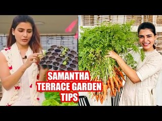 Actress Samantha-வின் மாடித்தோட்ட விவசாயம்! | Terrace Gardening #Samantha