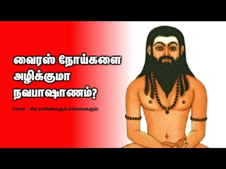 வைரஸ் நோய்களை அழிக்குமா நவபாஷாணம்? போகர் சில உண்மைகளும் ரகசியங்களும்!