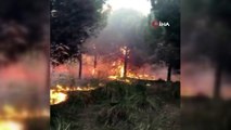 Tarsus'ta 3 hektar orman alanı yandı
