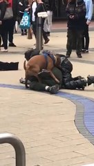 Download Video: Un chien s'incruste dans un combat entre 2 hommes ivres et c'est tellement drôle