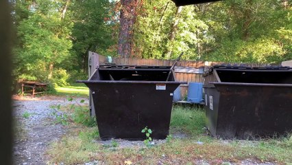 Raccoon Rescued from Empty Dumpster
