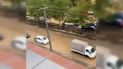 Bursa\'da yıldırım düştü, ağaç parçalandı