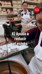 Beneficios y razones para comer más CHOCOLATE