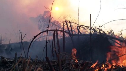 Menores mas não menos alarmantes
