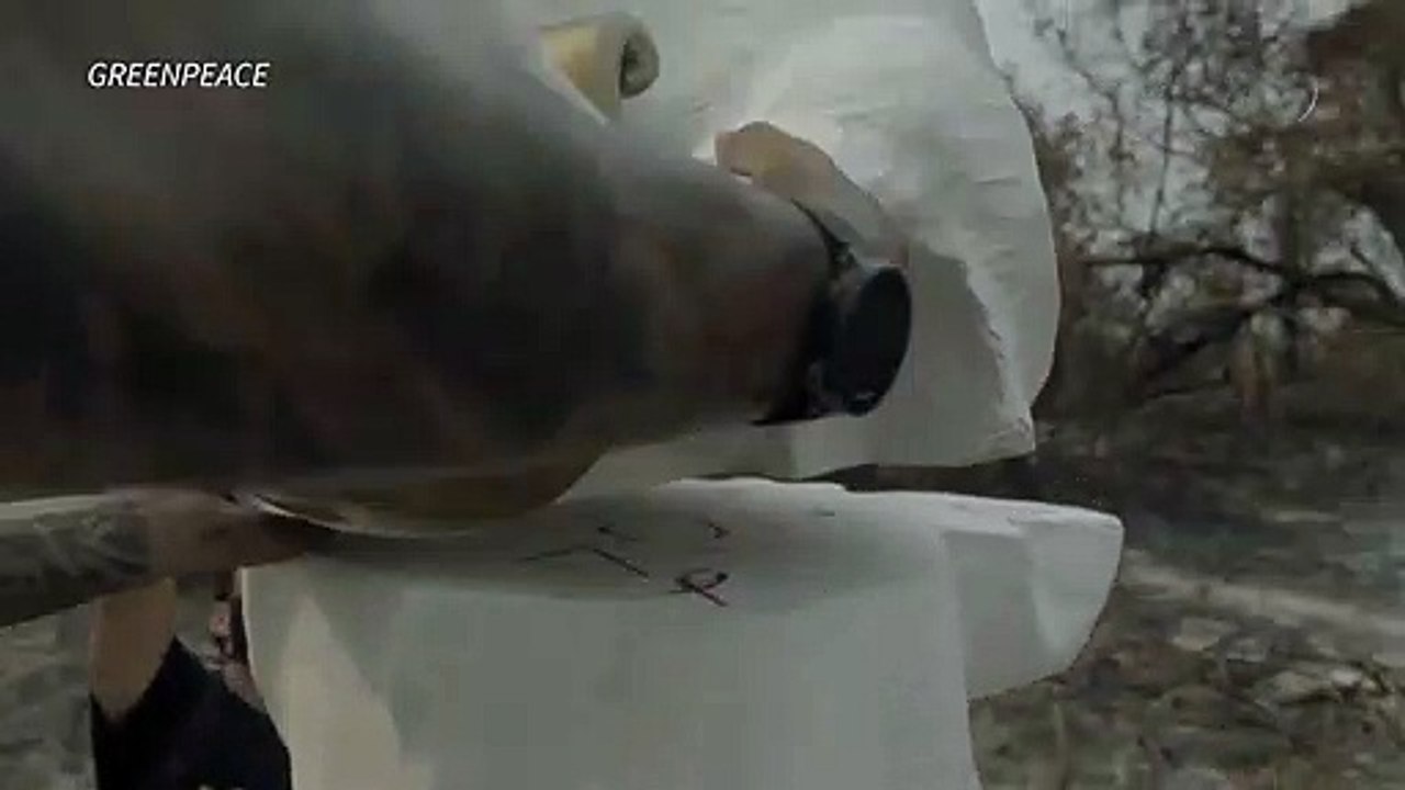 Greenpeace ergue ‘Bolsonero’ no Pantanal