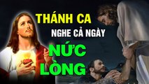 Nhạc Thánh Ca CHÚA TRONG ĐỜI CON Hay Nhất - LK Thánh Ca Công Giáo Chọn Lọc Nức Lòng