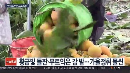 下载视频: 가을 정취 느끼며 힐링…'언택트 관광' 눈길