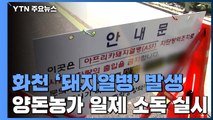 돼지열병 확산 막기 위해 방역 총력 / YTN