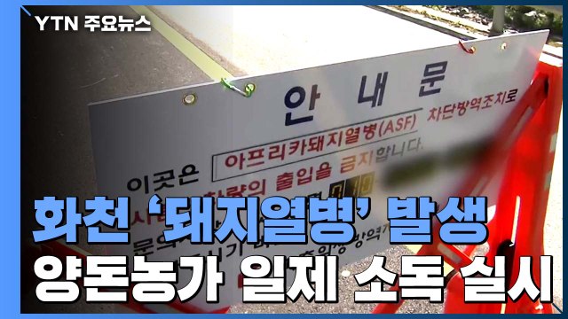 돼지열병 확산 막기 위해 방역 총력 / YTN