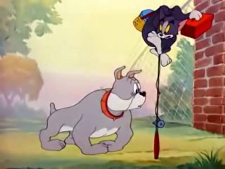 Tom And Jerry Cat Fishin