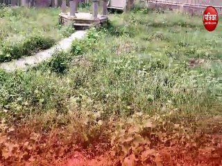 जिस पर विरासत के संरक्षण का जिम्मा उसे नहीं दिया एक साल से मेहनताना