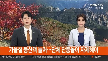 가을철 등산객 늘어…단체 단풍놀이 자제해야