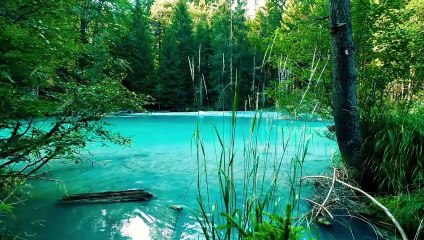1 Hour's Nature Sounds Waterfall River Relaxation Meditation Relax24pro Birdsong Slish woods