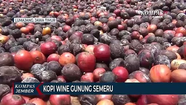 Cita Rasa Khas Kopi Wine Gunung Semeru