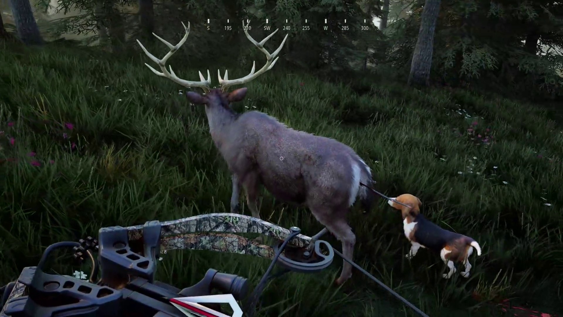Hunting Simulator 2 Chasing a Red Deer in Harghita County - video Dailymotion