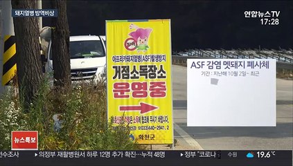 돼지열병 재발에 '확산차단' 비상…예찰활동 강화