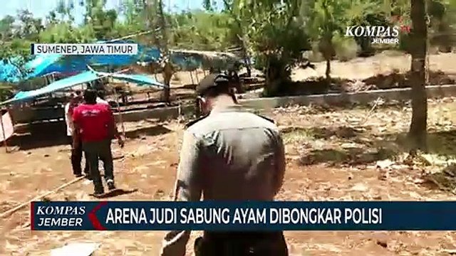 Judi Sabung Ayam dengan Sistem Arisan Dibongkar Polisi