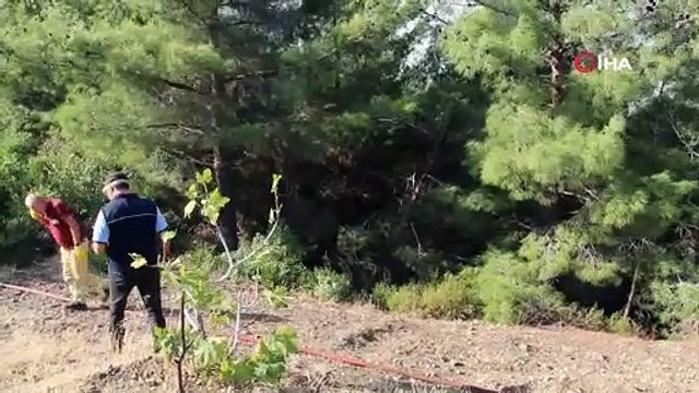 Hatay'daki orman yangınına müdahale sürüyor