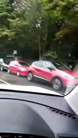 Edinburgh flu vaccine