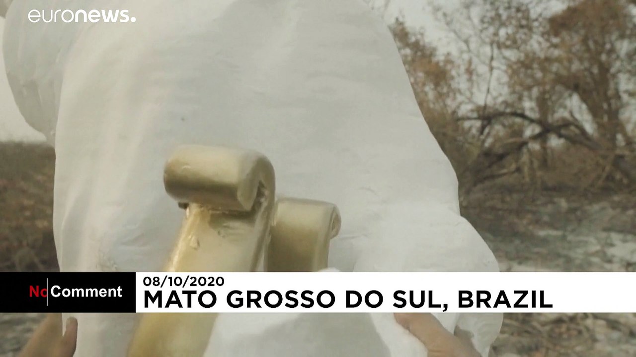 Bolsonaro in die Wüste geschickt