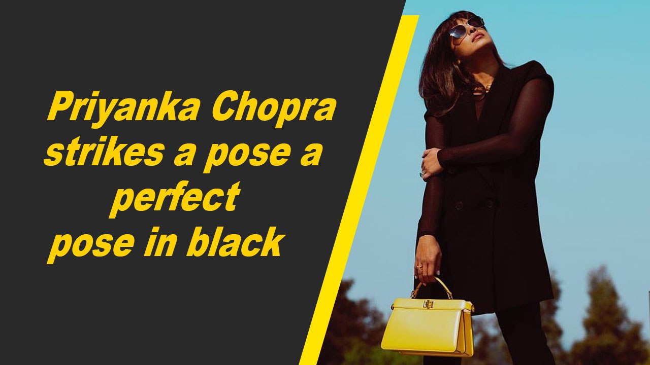 Priyanka Chopra strikes a pose a perfect pose i...