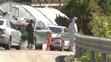 경기·강원  '축산차량·시설 이동중지' 모레까지 연장 / YTN