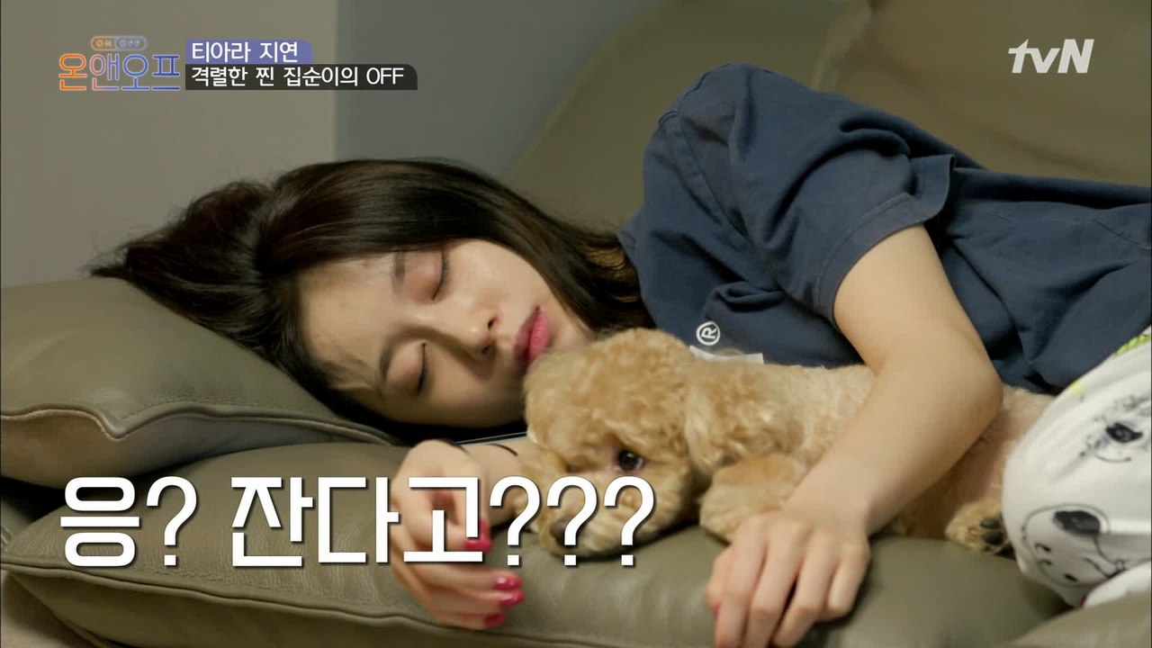 집순이 지연의 모닝루틴은? 열정적으로 아무것도 안하는 중