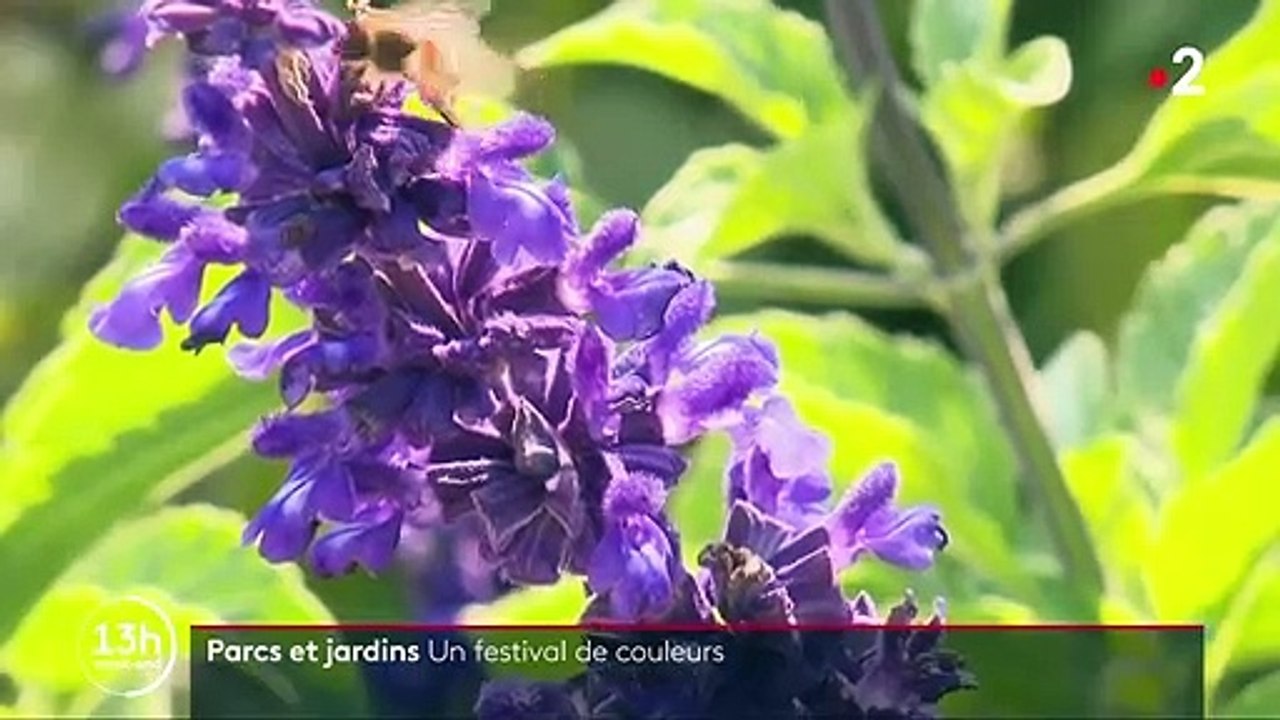 Découverte : le jardin botanique de Nancy préserve la flore mondiale