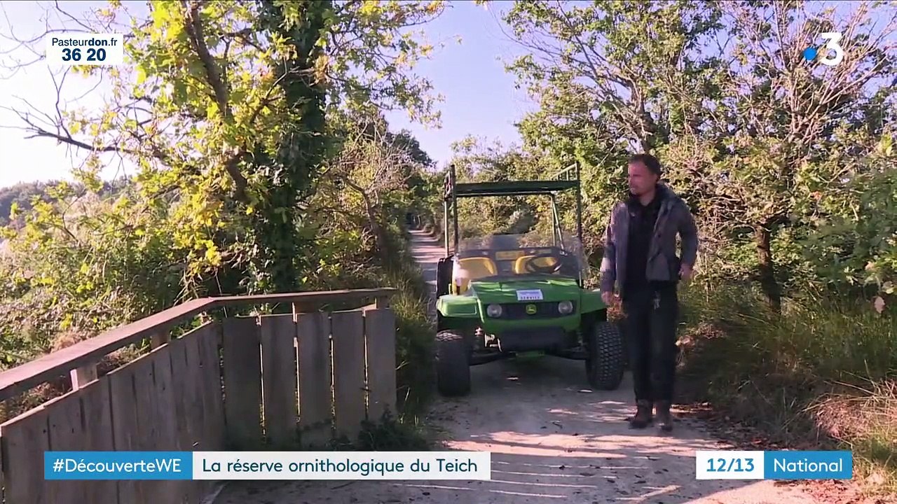 #DécouverteWE : à la rencontre des oiseaux sauvages de la réserve ornithologique du Teich