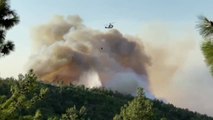 Los bomberos luchan contra el fuego en la provincia turca de Hatay