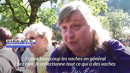 Climat: les alpages typiques du Tyrol menacés de disparition