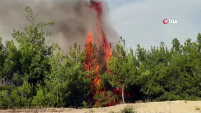 Kahramanmaraş’ın Andırın İlçesindeki orman yangını kontrol altına alındı