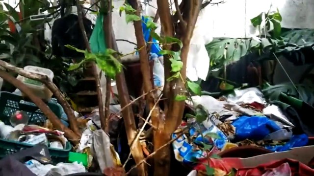 LIMPIEZA SINDROME DIOGENES TARRAGONA | VACIADO POR ACUMULACION COMPULSIVA