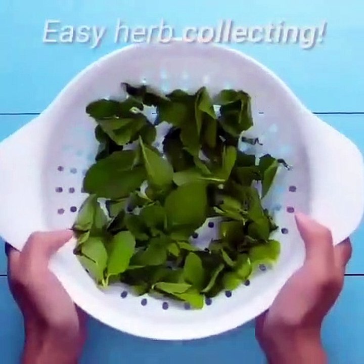 Do it YourSelf Videos 40