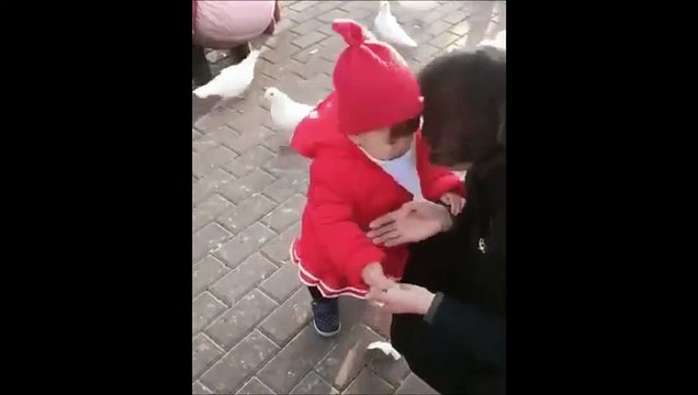 Cette fille a une drole de façon de nourrir les oiseaux... en mode gavage