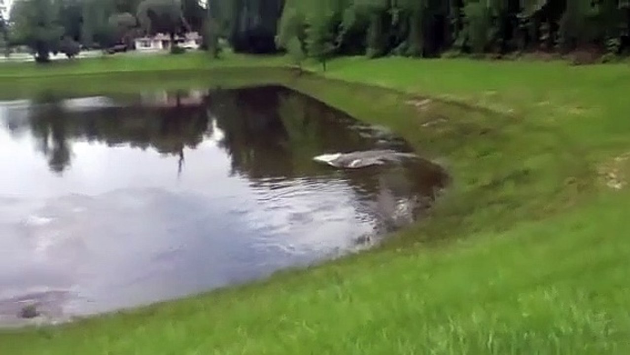 Un lac se vide par trois trous. Impressionnant